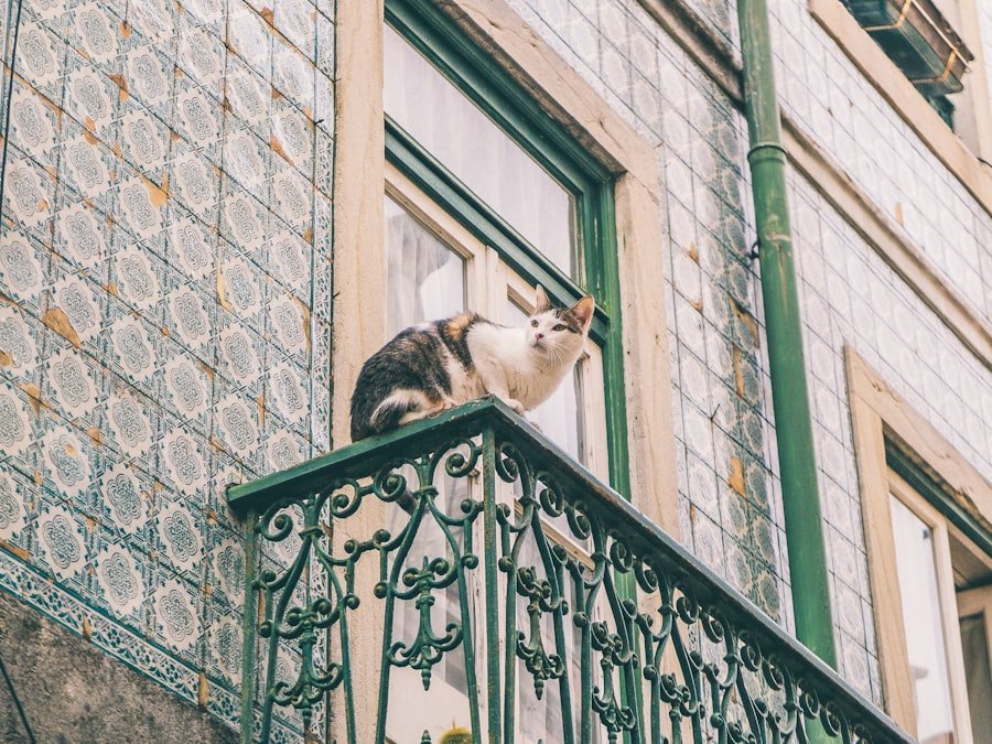balcony cat safety