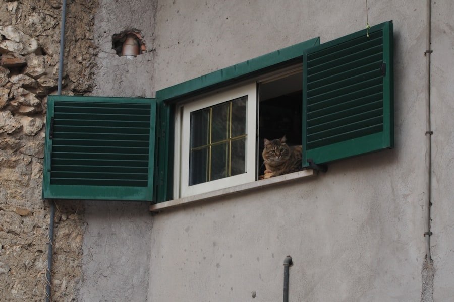 Photo balcony cat safety