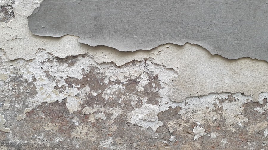 remove humidity stain wall plasterboard