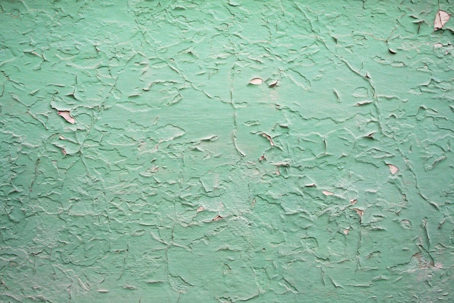 Photo remove humidity stain wall plasterboard