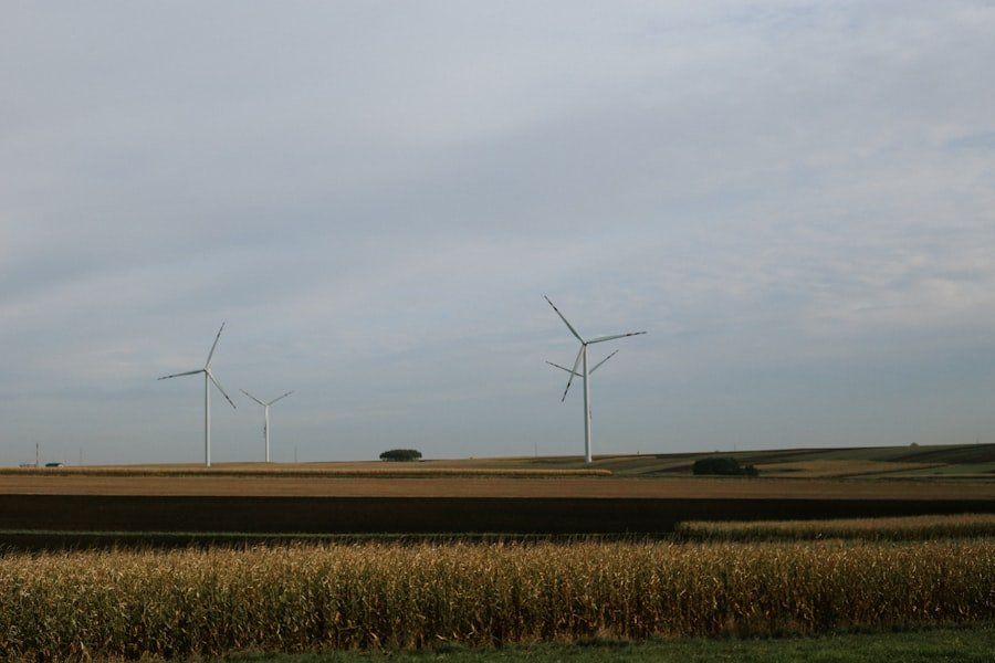 Photo energy subsidies