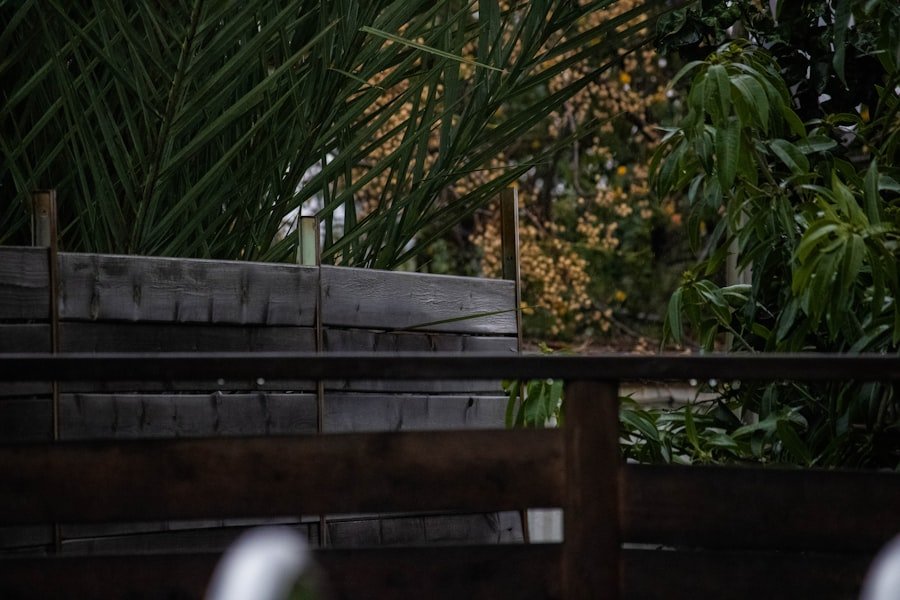 Photo neighbor conflict