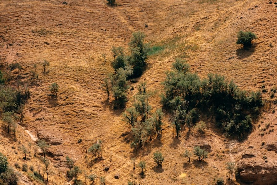 Photo terrain non constructible