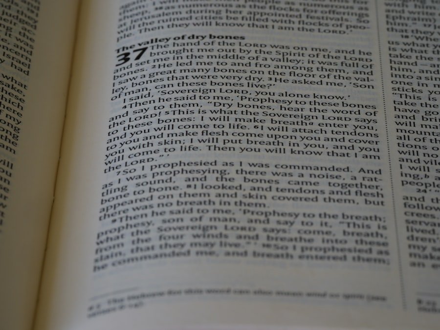 Photo co-ownership regulations