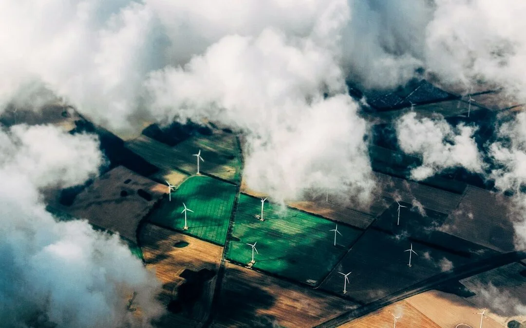 L’importance de choisir des matériaux écologiques