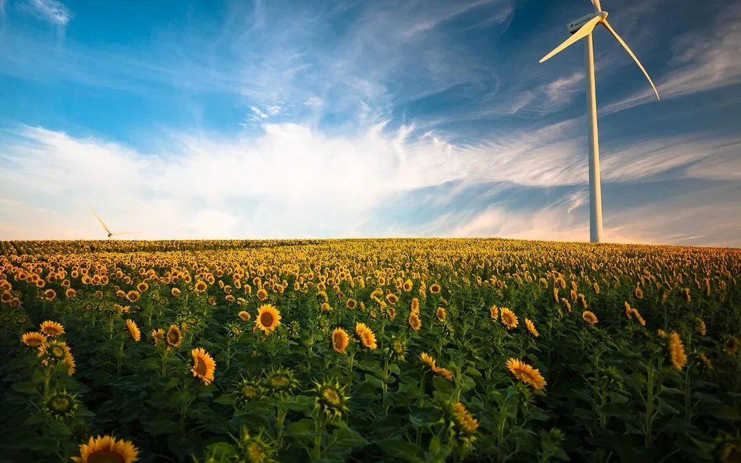 Les aides financières disponibles pour la rénovation énergétique