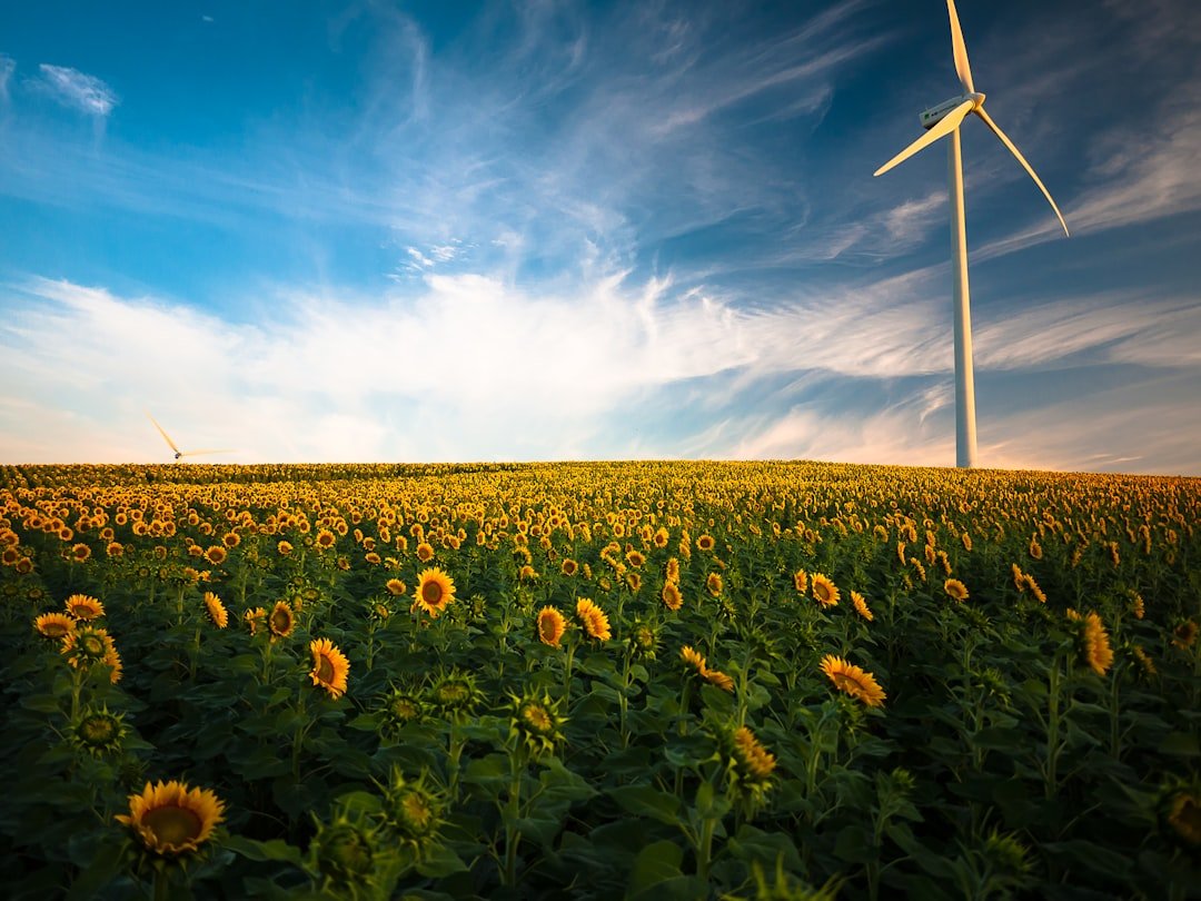 Aides rénovation énergétique