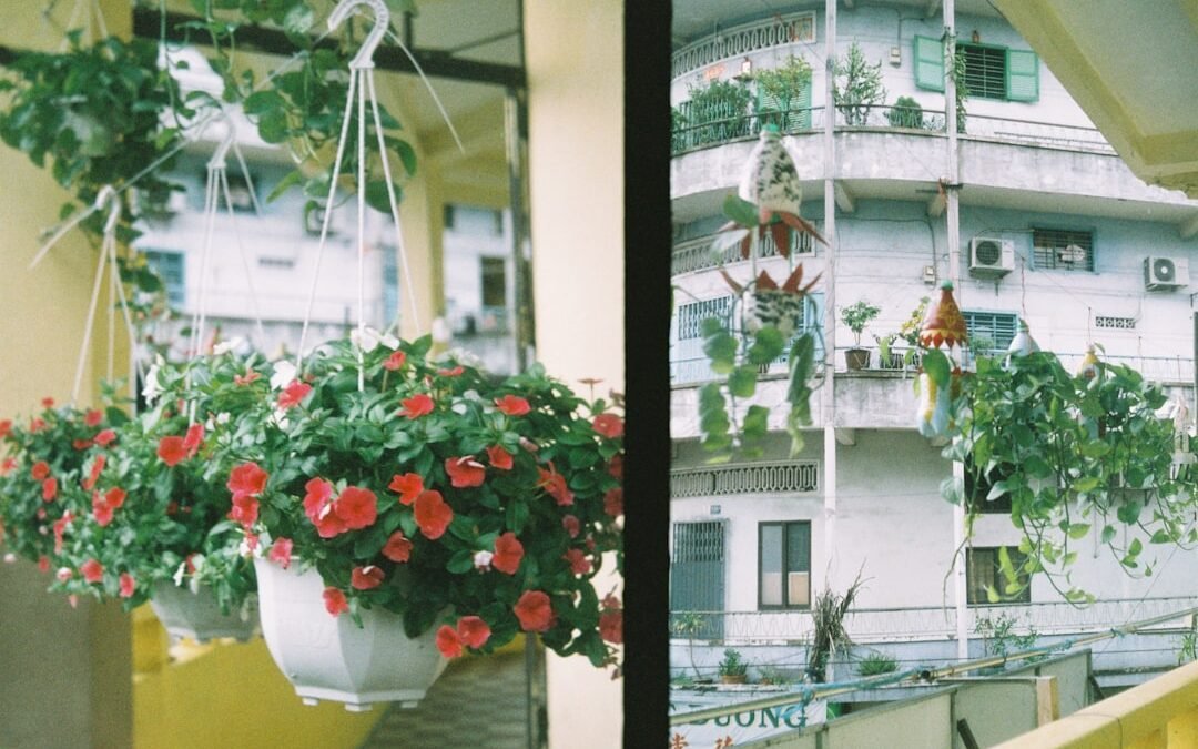Cacher vis a vis balcon plantes: astuces pour plus d’intimité