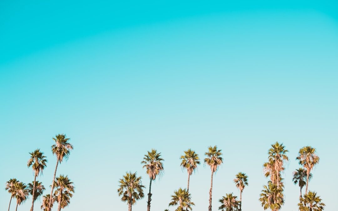 Investir en SCPI : rendement et risques