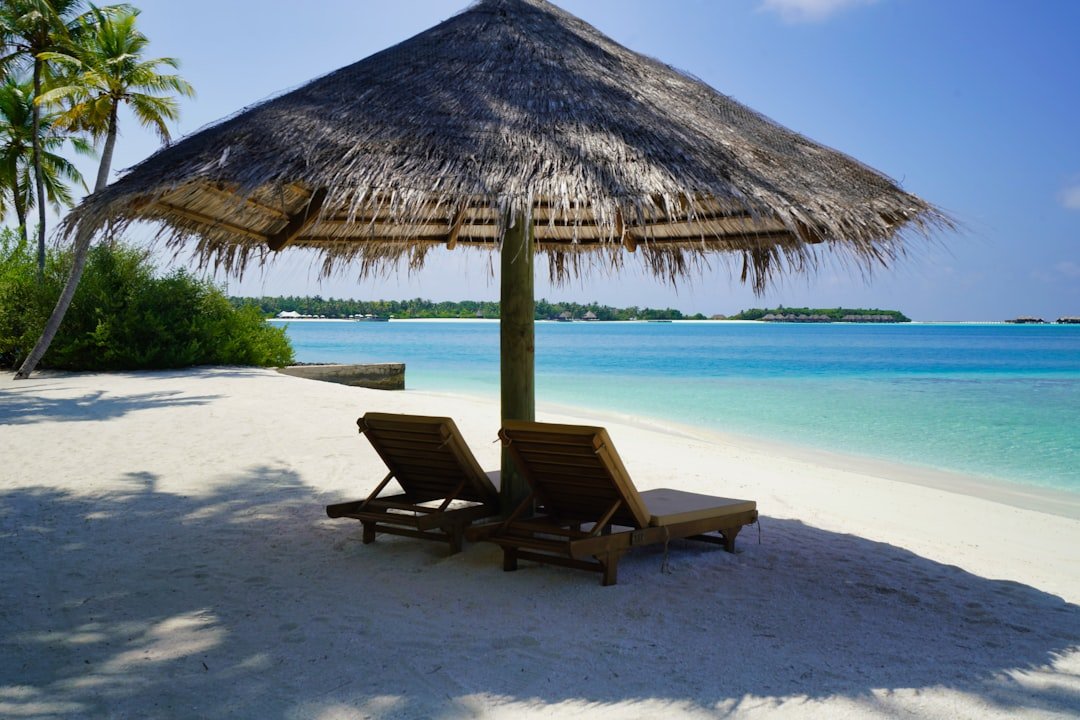 Location saisonnière : rentabilité mer vs montagne