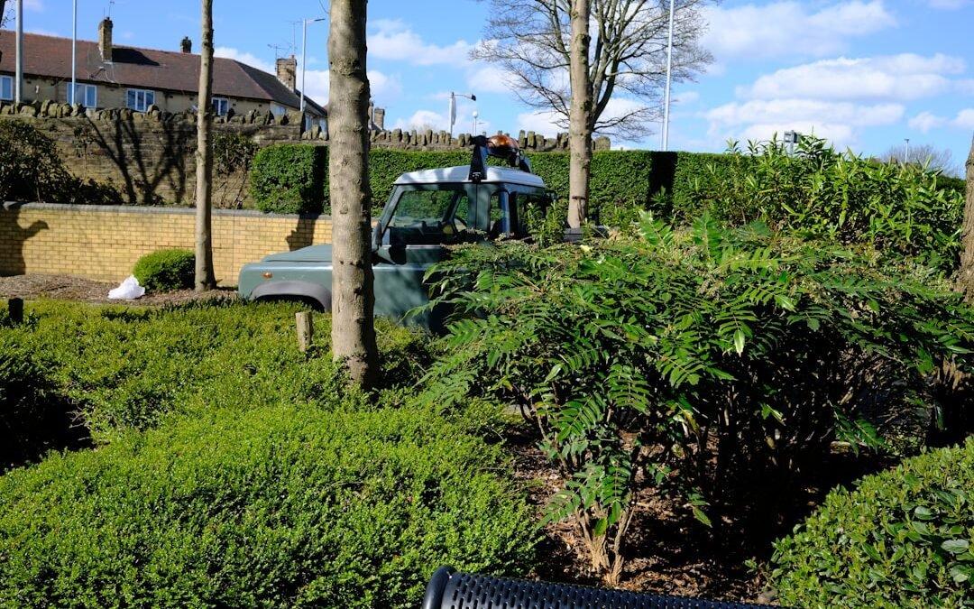 Entretien jardin locataire: la taille des haies