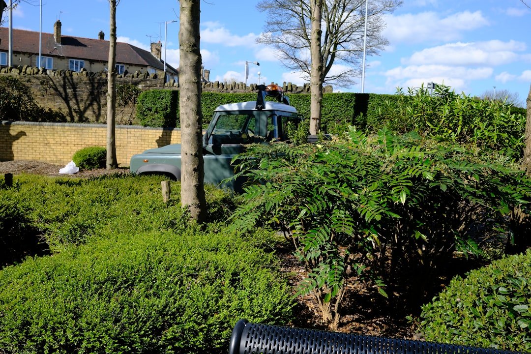 Entretien jardin locataire: la taille des haies